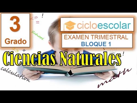 examen de ciencias naturales tercer grado