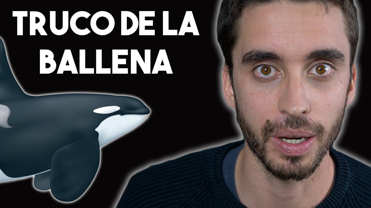 fortalezas de un compañero de trabajo