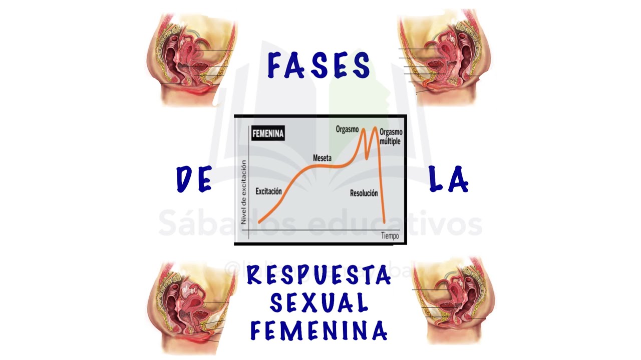 fase de meseta en la mujer