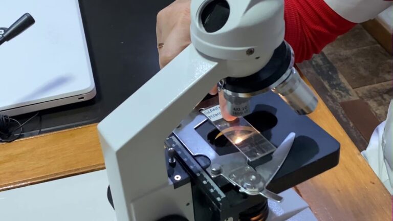 Manejo Y Uso Del Microscopio óptico Compuesto