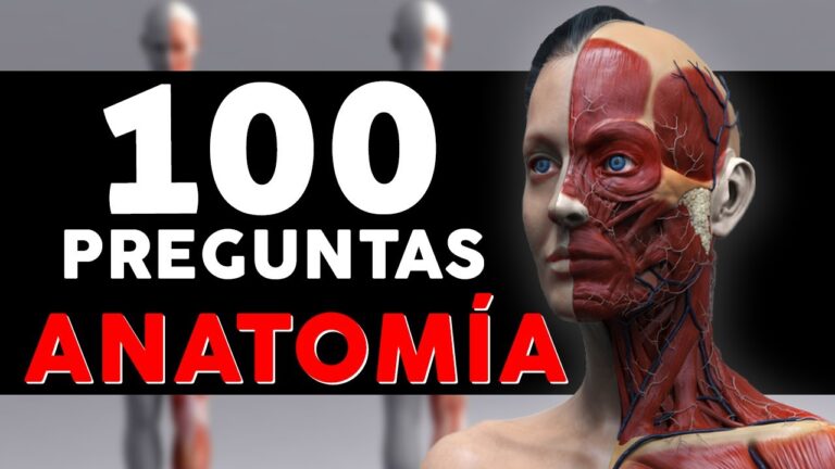 Cuestionario sobre las Estructuras Esenciales del Hombre: Descubre lo