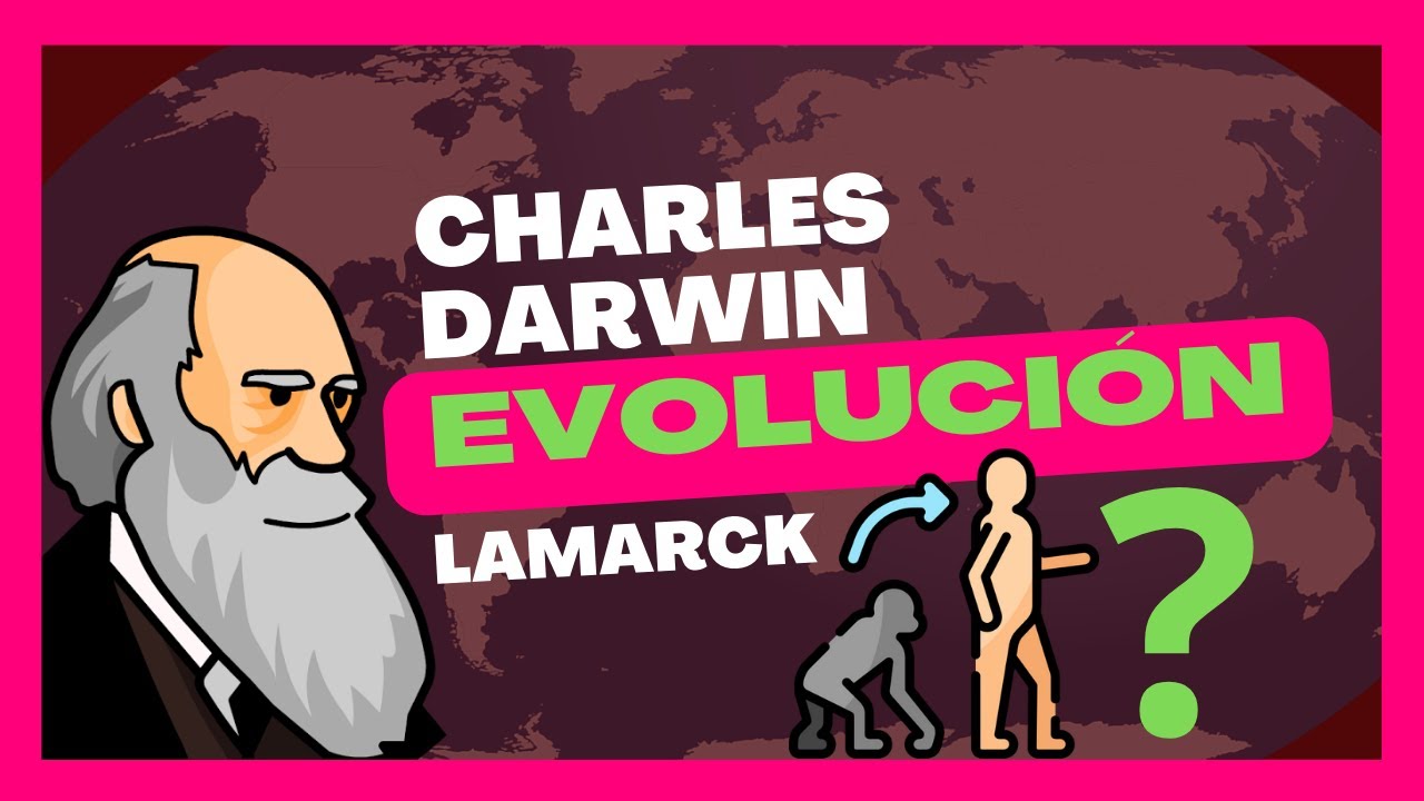evaluacion sobre teorias de la evolucion