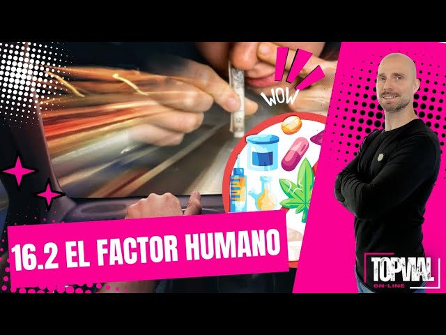 factor humano automotriz sa de cv