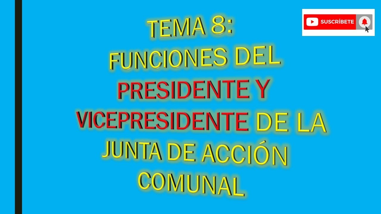 de que se encarga el vicepresidente de una empresa
