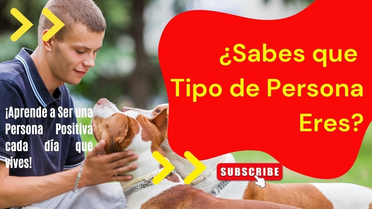 lista de rasgos de personalidad positivos y negativos