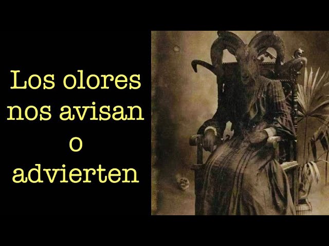 porque huelo perfume de hombre de la nada