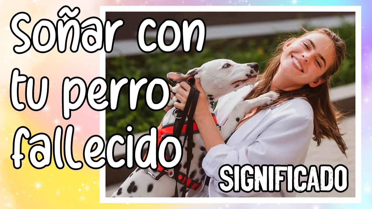 que significa soñar con tu perro fallecido