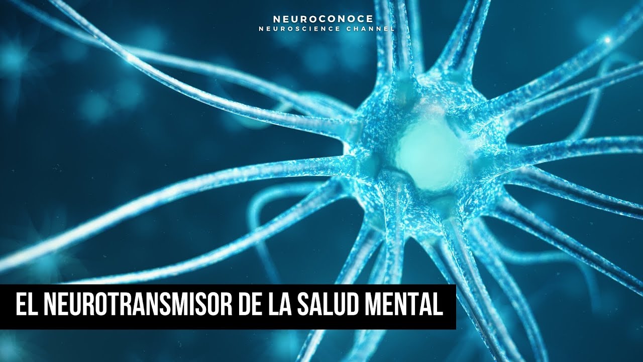 se puede tomar gaba con antidepresivos