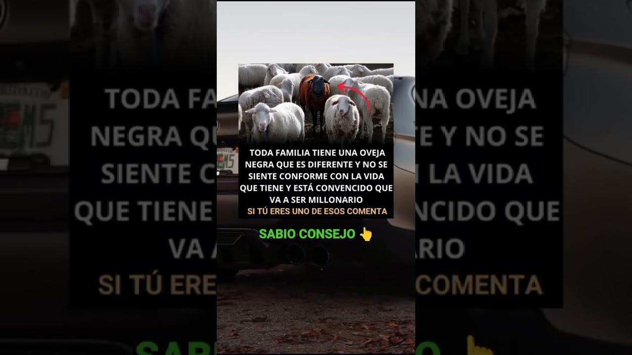la oveja negra de la familia frases