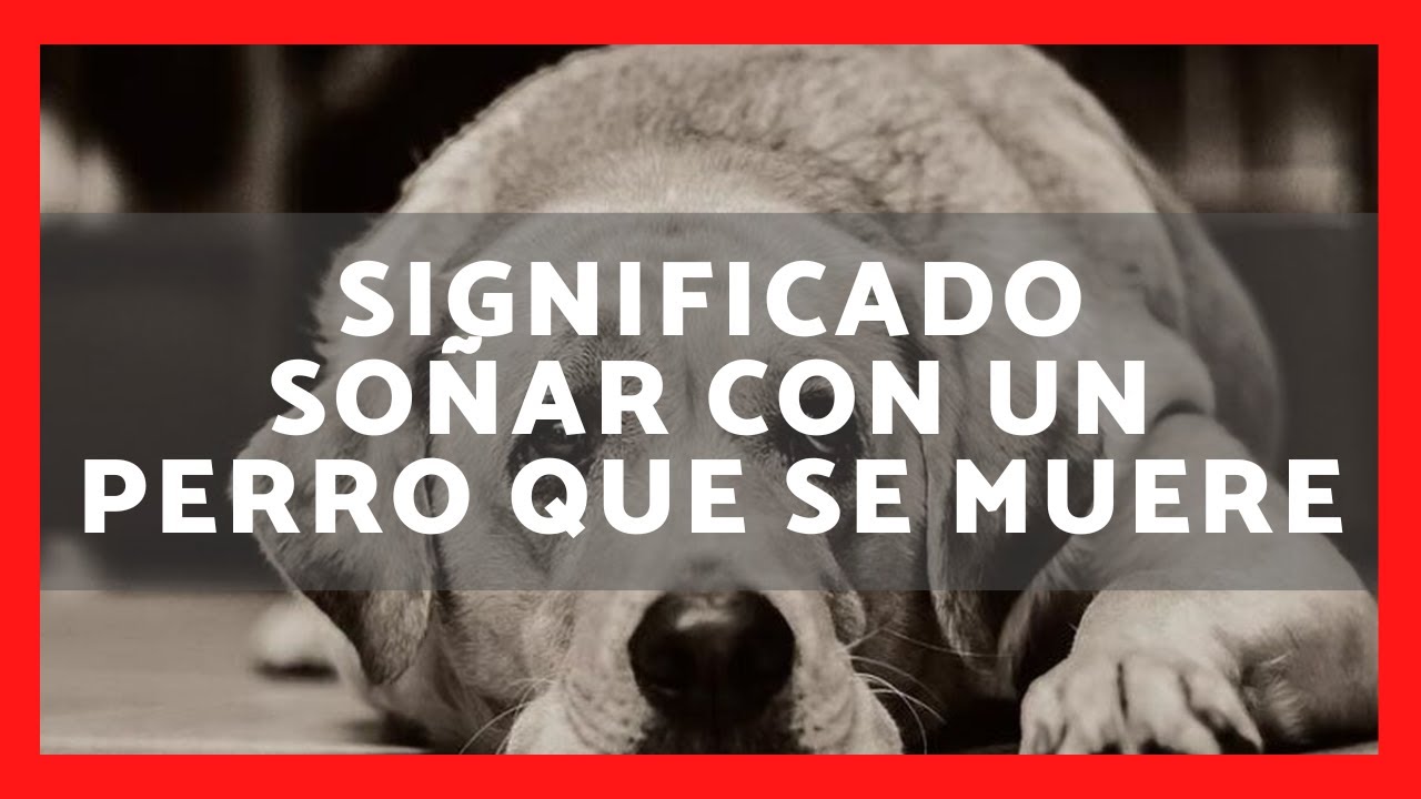 soñar que se muere tu perro