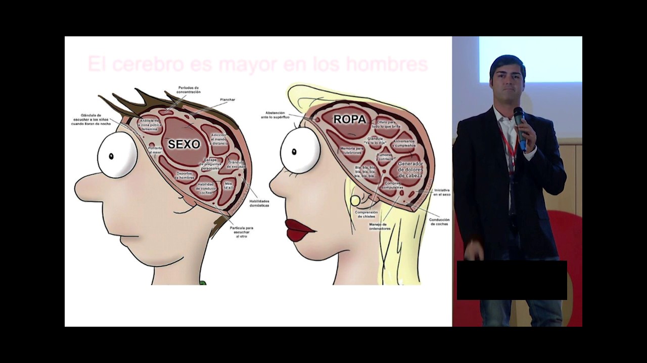 diferencias entre el cerebro del hombre y la mujer psicologia