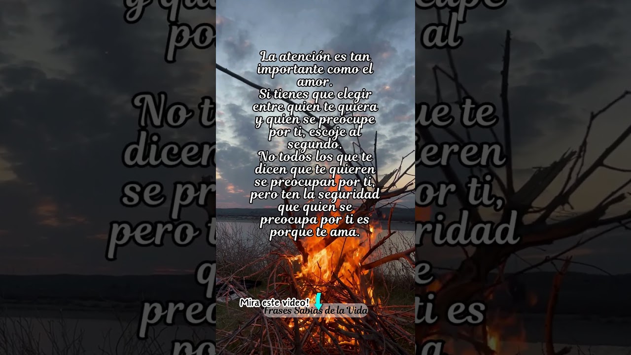 la atención es tan importante como el amor