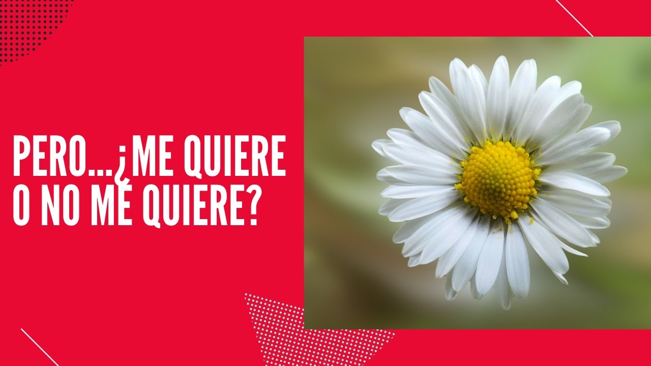 miedo al compromiso o no me quiere