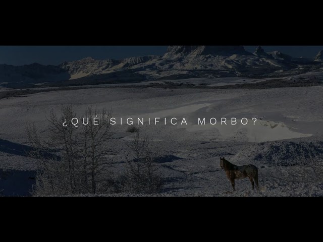 que significa dar morbo a un hombre