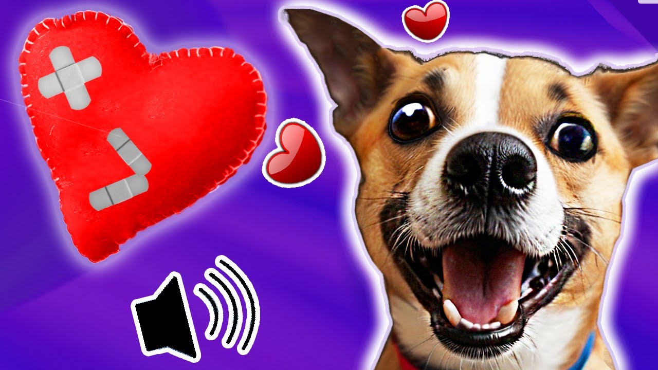 sonidos que le gustan a los perros