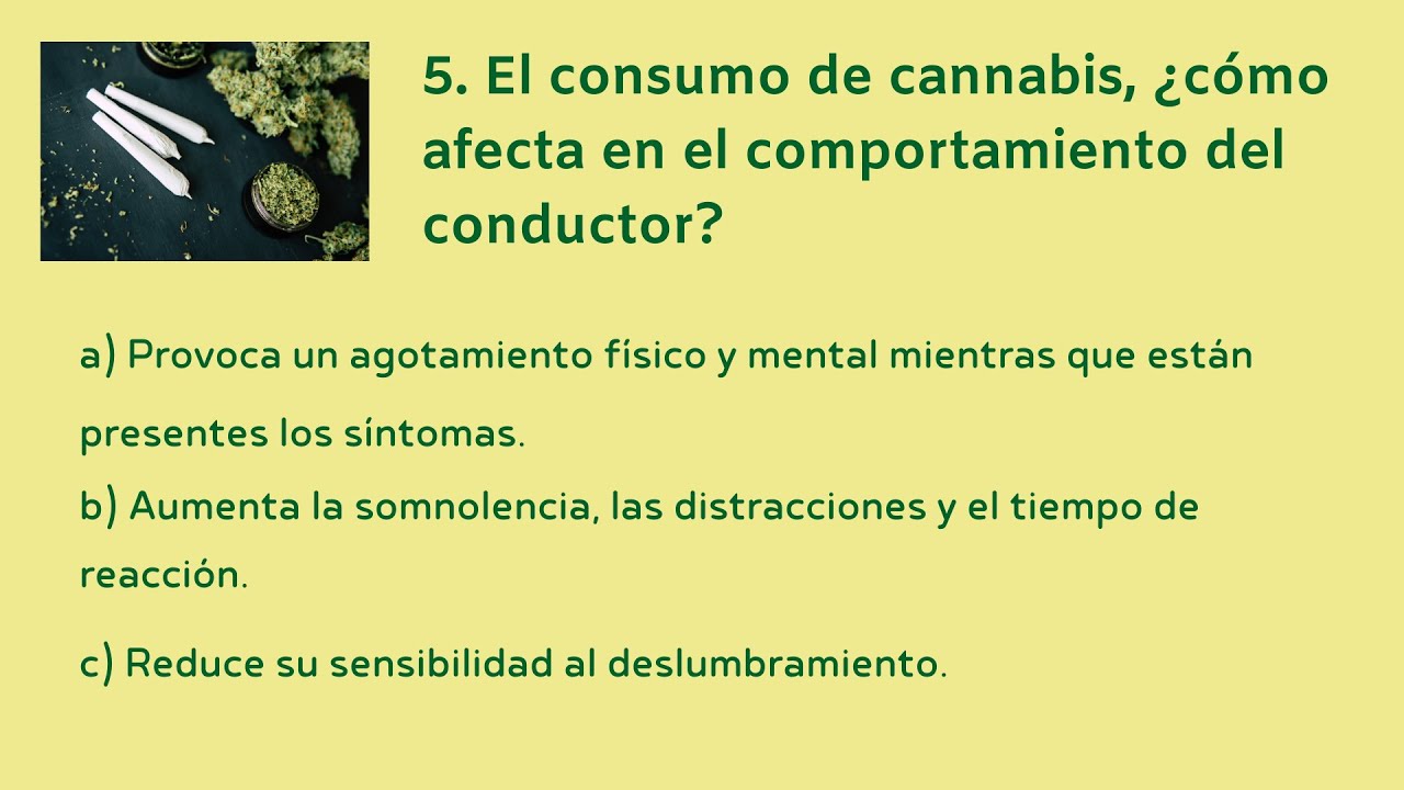 el consumo de cannabis afecta al comportamiento del conductor porque
