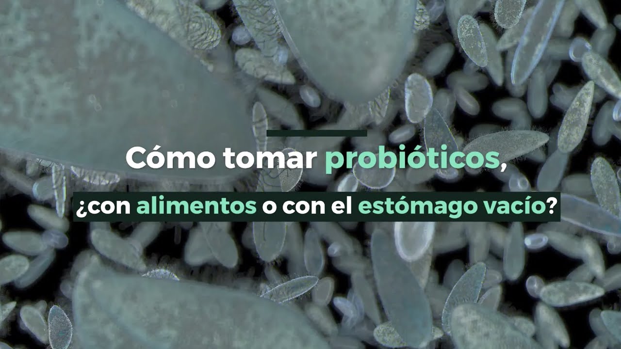 probióticos antes o después de comer