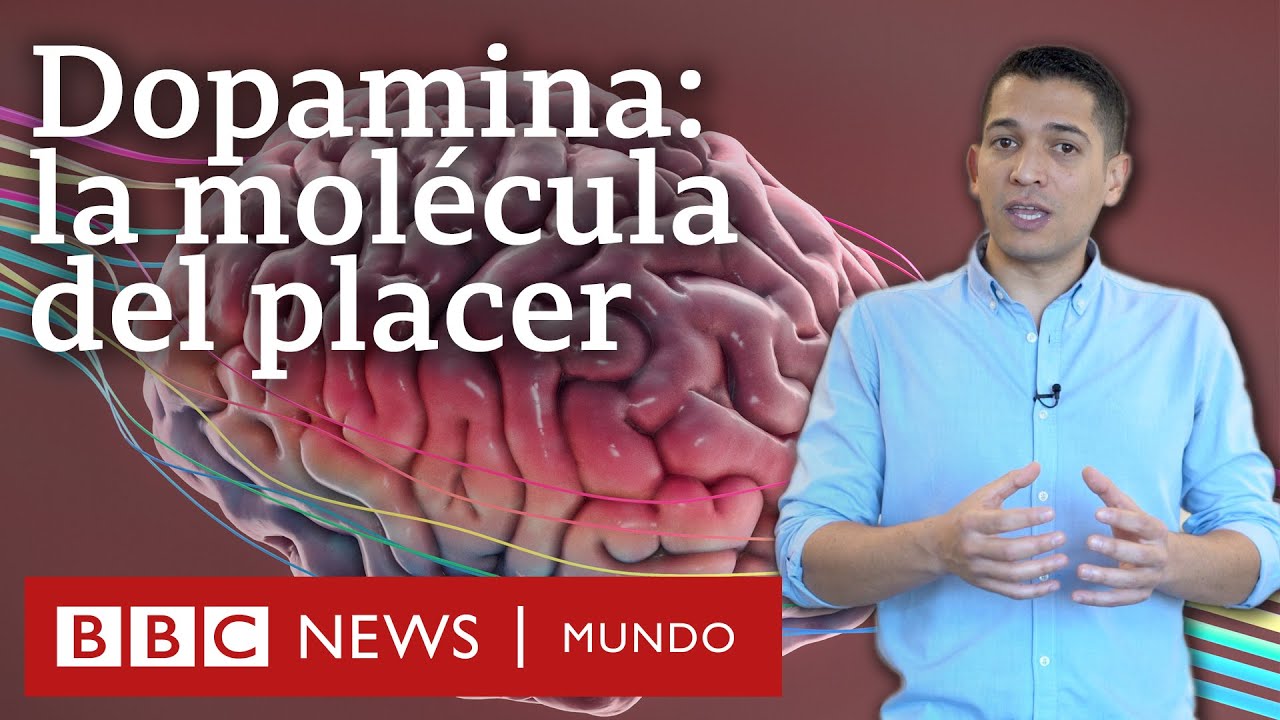que es la serotonina y dopamina